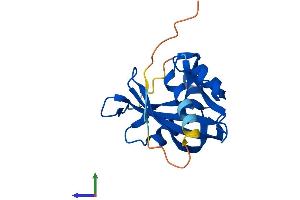 AlphaFold protein structure predicition of Human Recombinant NUDT3 Protein, UniprotID O95989