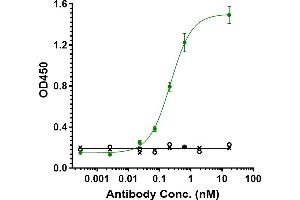 Immobilized human PD-L1 FC at 2 μg/mL can bind Anti-TGFb1 Reference Antibody (M7824), EC50=0. (Recombinant TGFB1 antibody)