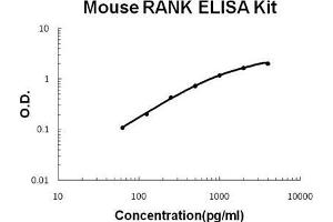 Mouse RANK PicoKine ELISA Kit standard curve