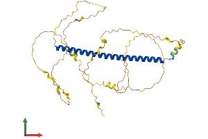 AlphaFold protein structure predicition of Mouse Recombinant Creb5 Protein, UniprotID Q8K1L0