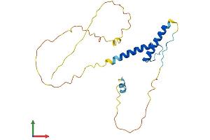 Protein Structure (PS) image for Heart and Neural Crest Derivatives Expressed 1 (HAND1) (AA 1-216) protein (His tag) (ABIN7557819)