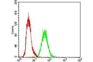 Flow cytometric analysis of A431 cells using RAP1GAP mouse mAb (green) and negative control (red). (RAP1GAP antibody  (AA 412-660))