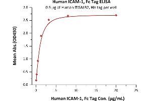 Immobilized Human ITGALB2, His tag at 5 μg/mL (100 μL/well) can bind Human ICAM-1, Fc Tag (ABIN2181238,ABIN2181237) with a linear range of 0. (ICAM1 Protein (AA 28-480) (Fc Tag))