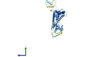 AlphaFold protein structure predicition of Mouse Recombinant Dnajc2 Protein, UniprotID P54103 (DNAJC2 Protein (AA 1-621) (His tag))