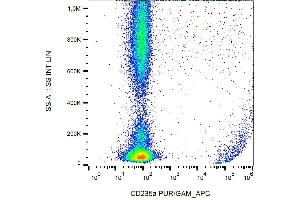 Surface staining of human peripheral blood with anti-CD235a (HIR2) purified, GAM-APC. (CD235ab antibody  (N-Term))