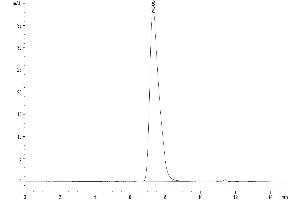 The purity of Human GPA is greater than 95 % as determined by SEC-HPLC. (CD235a/GYPA Protein (AA 20-91) (Fc Tag))