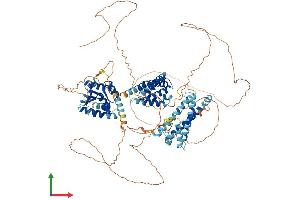AlphaFold protein structure predicition of Human Recombinant SWT1 Protein, UniprotID Q5T5J6 (SWT1 Protein (AA 1-900) (His tag))