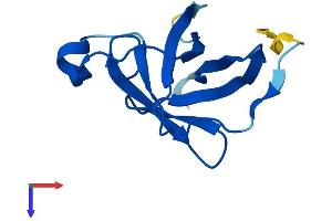 TCL1A Protein (AA 1-114) (His tag)