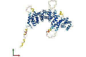 Protein Structure (PS) image for serum Amyloid A-Like 1 (SAAL1) (AA 1-474) protein (His tag) (ABIN7551719)