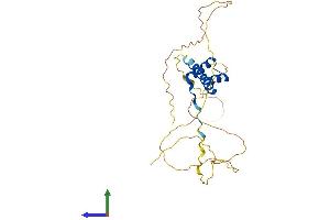 AlphaFold protein structure predicition of Human Recombinant CRX Protein, UniprotID O43186 (CRX Protein (AA 1-299) (His tag))