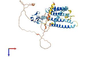 AlphaFold protein structure predicition of Human Recombinant RNFT2 Protein, UniprotID Q96EX2 (RNFT2 Protein (AA 1-444) (His tag))
