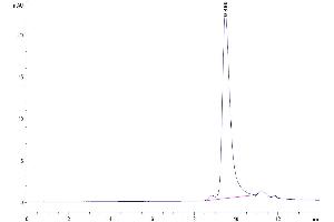 Size-exclusion chromatography-High Pressure Liquid Chromatography (SEC-HPLC) image for Sema Domain, Immunoglobulin Domain (Ig), Short Basic Domain, Secreted, (Semaphorin) 3A (SEMA3A) (AA 21-772) protein (His tag) (ABIN7275567)