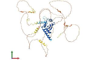AlphaFold protein structure predicition of Human Recombinant AGFG1 Protein, UniprotID P52594
