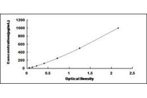 Typical standard curve (FGF4 ELISA Kit)