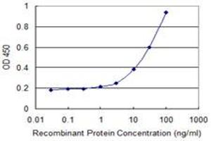 Detection limit for recombinant GST tagged HAPLN4 is 0. (HAPLN4 antibody  (AA 30-134))