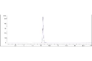 The purity of Anti-IL-6 / IFNb2 Reference Antibody (sirukumab) is 100 % , determined by SEC-HPLC. (Recombinant IL6 (Sirukumab Biosimilar) antibody)