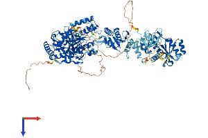 Endogenous Retrovirus Group K, Member 6 (ERVK-6) (AA 1-956) protein (His tag)