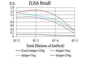 Black line: Control Antigen (100 ng),Purple line: Antigen (10 ng), Blue line: Antigen (50 ng), Red line:Antigen (100 ng) (CD207 antibody  (AA 155-328))