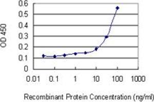 Detection limit for recombinant GST tagged PRDX6 is 3 ng/ml as a capture antibody. (Peroxiredoxin 6 antibody  (AA 1-224))