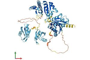 AlphaFold protein structure predicition of Mouse Recombinant Igf2bp1 Protein, UniprotID O88477 (IGF2BP1 Protein (AA 1-577) (His tag))