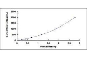 Typical standard curve (TXN ELISA Kit)