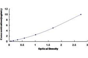 Typical standard curve (CDKN3 ELISA Kit)