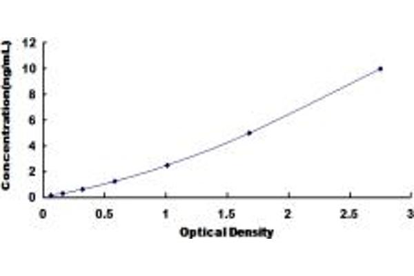 CDKN3 ELISA Kit