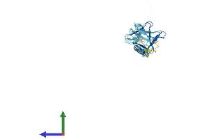 Protein Structure (PS) image for Sarcoglycan, gamma (35kDa Dystrophin-Associated Glycoprotein) (SGCG) (AA 1-291) protein (His tag) (ABIN7546015)