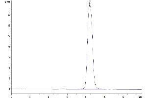 Size-exclusion chromatography-High Pressure Liquid Chromatography (SEC-HPLC) image for Growth Hormone Receptor (GHR) (AA 27-264) protein (His tag) (ABIN7274745)