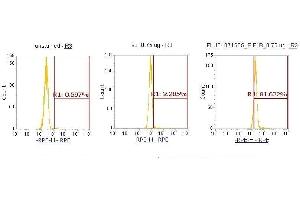 Flow Cytometry (FACS) image for anti-Eukaryotic Translation Initiation Factor 1B (EIF1B) (AA 1-113) antibody (PE) (ABIN5567955) (EIF1B antibody  (AA 1-113) (PE))