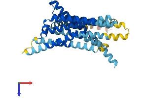 Taste Receptor, Type 2, Member 117 (TAS2R117) (AA 1-330) protein (His tag)