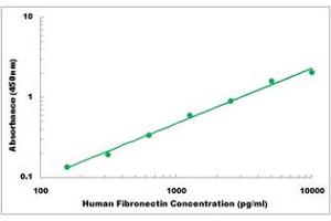 Representative Standard Curve (Fibronectin ELISA Kit)