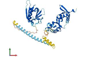 AlphaFold protein structure predicition of Human Recombinant VPS36 Protein, UniprotID Q86VN1 (VPS36 Protein (AA 1-386) (His tag))