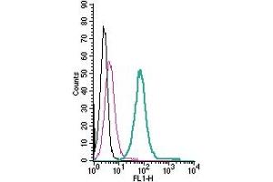 Cell surface detection of KV1.