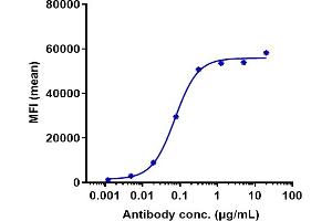Human AXL HEK293 cells were stained with Anti-AXL / UFO Reference Antibody (tilvestamab) and negative control protein respectively, washed and then followed by PE and analyzed with FACS, EC50=0. (Recombinant AXL (Tilvestamab Biosimilar) antibody)