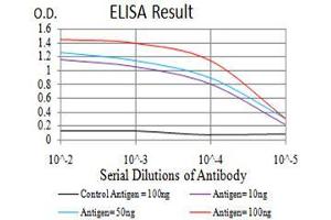 Black line: Control Antigen (100 ng), Purple line: Antigen(10 ng), Blue line: Antigen (50 ng), Red line: Antigen (100 ng), (DDX20 antibody  (AA 725-824))