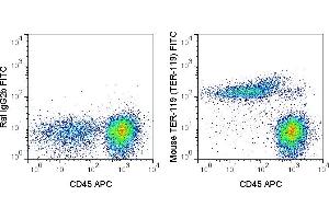 C57Bl/6 bone marrow cells were stained with APC Anti-Mouse CD45 (ABIN6961418) and 0. (Ly76 antibody  (FITC))
