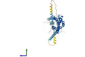 Protein Structure (PS) image for Oxytocin Receptor (OXTR) (AA 1-389) protein (His tag) (ABIN7550333)