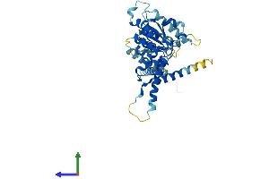 AlphaFold protein structure predicition of Mouse Recombinant Atad1 Protein, UniprotID Q9D5T0