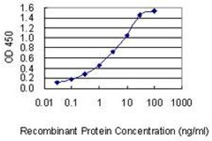 Detection limit for recombinant GST tagged DSG4 is 0. (Desmoglein 4 antibody  (AA 531-630))