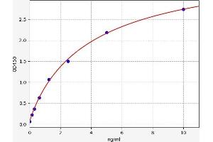 ITIH5L ELISA Kit