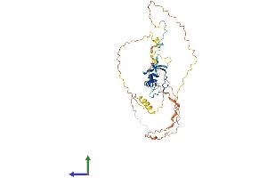 AlphaFold protein structure predicition of Mouse Recombinant Spata6l Protein, UniprotID B2RV46
