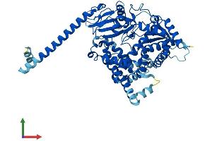 AlphaFold protein structure predicition of Human Recombinant CYP4F22 Protein, UniprotID Q6NT55 (CYP4F22 Protein (AA 1-531) (His tag))