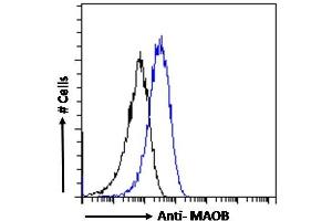 ABIN185506 Flow cytometric analysis of paraformaldehyde fixed HepG2 cells (blue line), permeabilized with 0. (Monoamine Oxidase B antibody  (Internal Region))