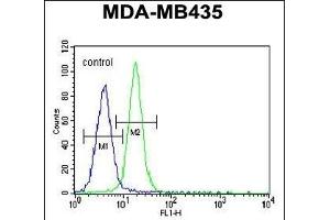 LIN28 Antibody (ABIN655496 and ABIN2845014) flow cytometric analysis of MDA-M cells (right histogram) compared to a negative control cell (left histogram). (LIN28A antibody)