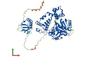 Protein Structure (PS) image for Deoxynucleotidyltransferase, terminal (DNTT) (AA 1-509) protein (His tag) (ABIN7544205)