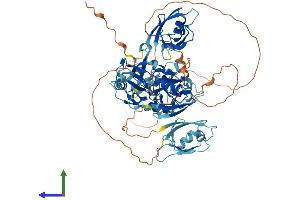AlphaFold protein structure predicition of Mouse Recombinant Lnx1 Protein, UniprotID O70263 (LNX1 Protein (AA 1-728) (His tag))