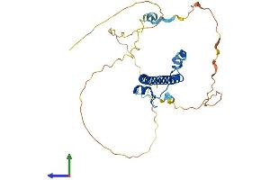 AlphaFold protein structure predicition of Mouse Recombinant Dbp Protein, UniprotID Q60925 (DBP Protein (AA 1-325) (His tag))