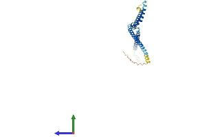 Protein Structure (PS) image for HAUS Augmin-Like Complex, Subunit 2 (HAUS2) (AA 1-235) protein (His tag) (ABIN7548230)