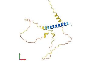 AlphaFold protein structure predicition of Mouse Recombinant Fam163b Protein, UniprotID Q8BUM6 (FAM163B Protein (AA 1-167) (His tag))